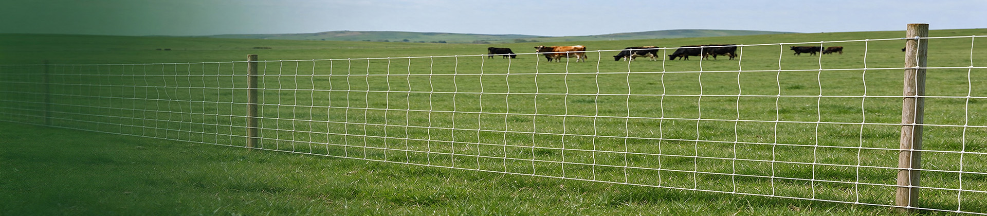 Electric Fence for Farm Horse Pasture
